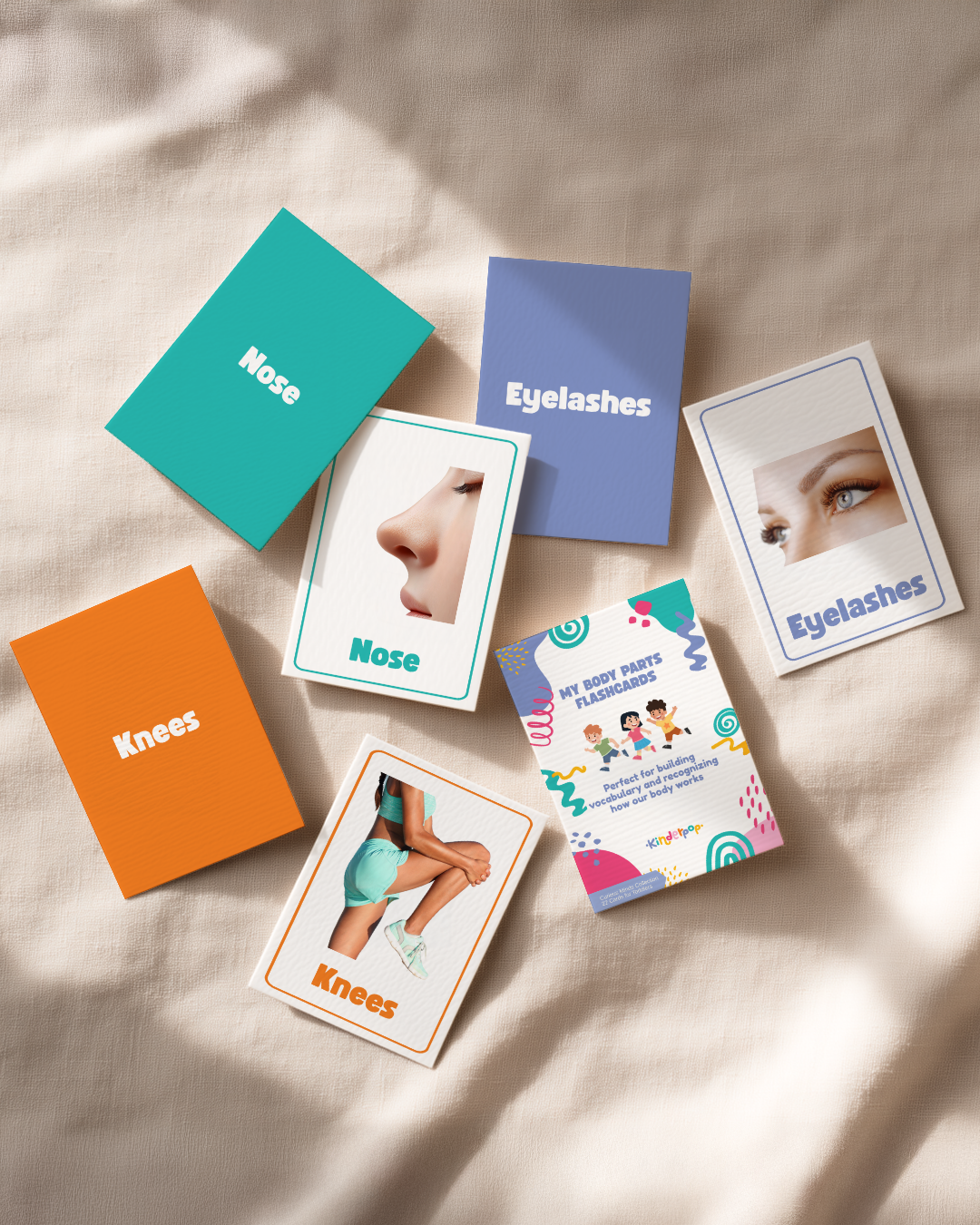Body Parts Flashcards