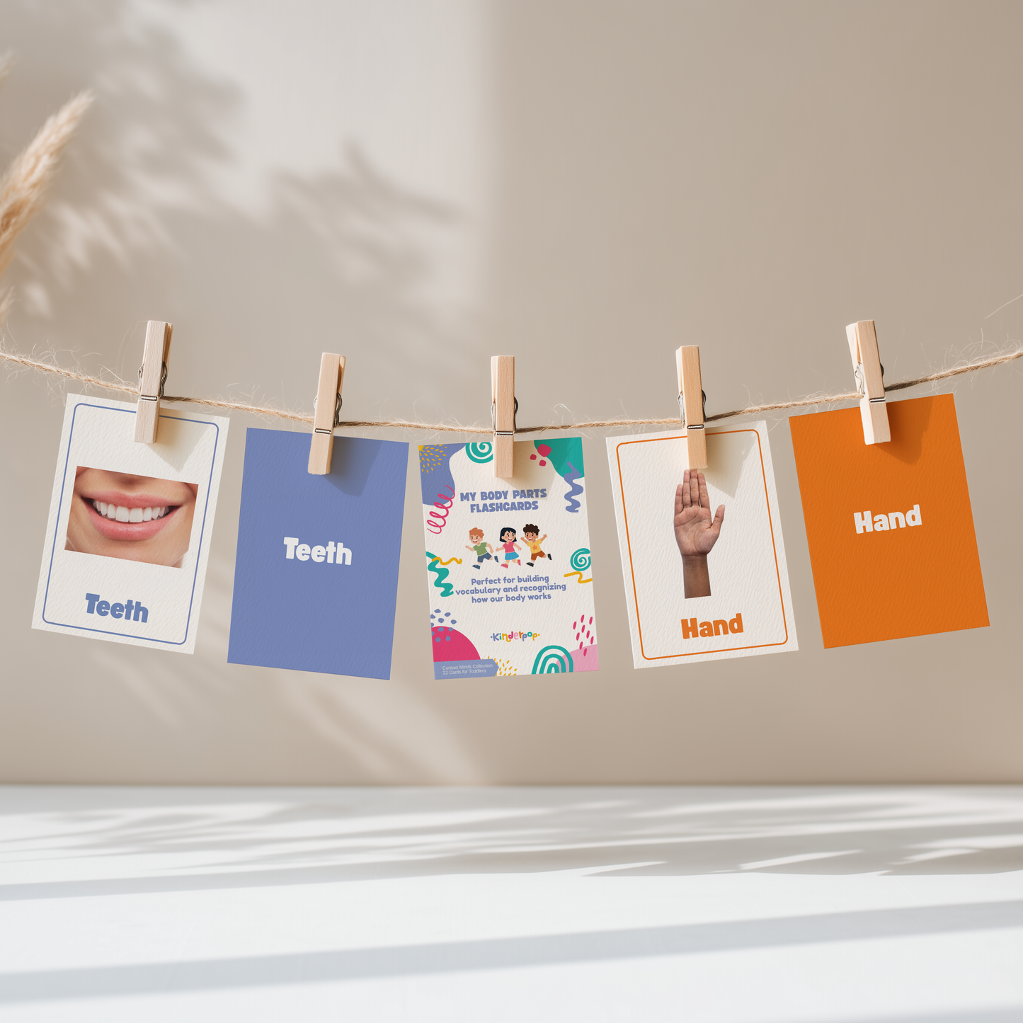 Little Learner Flashcard Pack