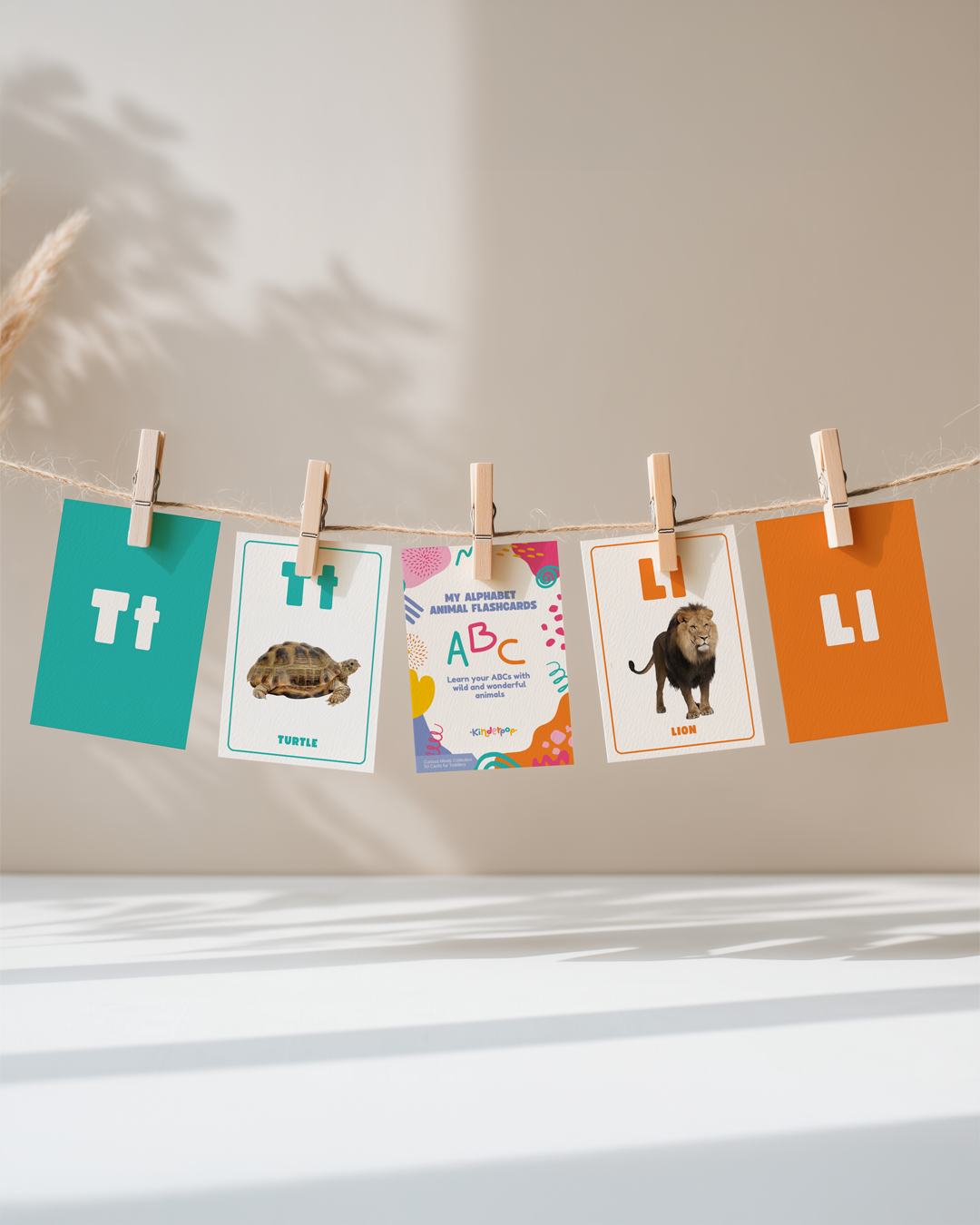 Little Learner Flashcard Pack
