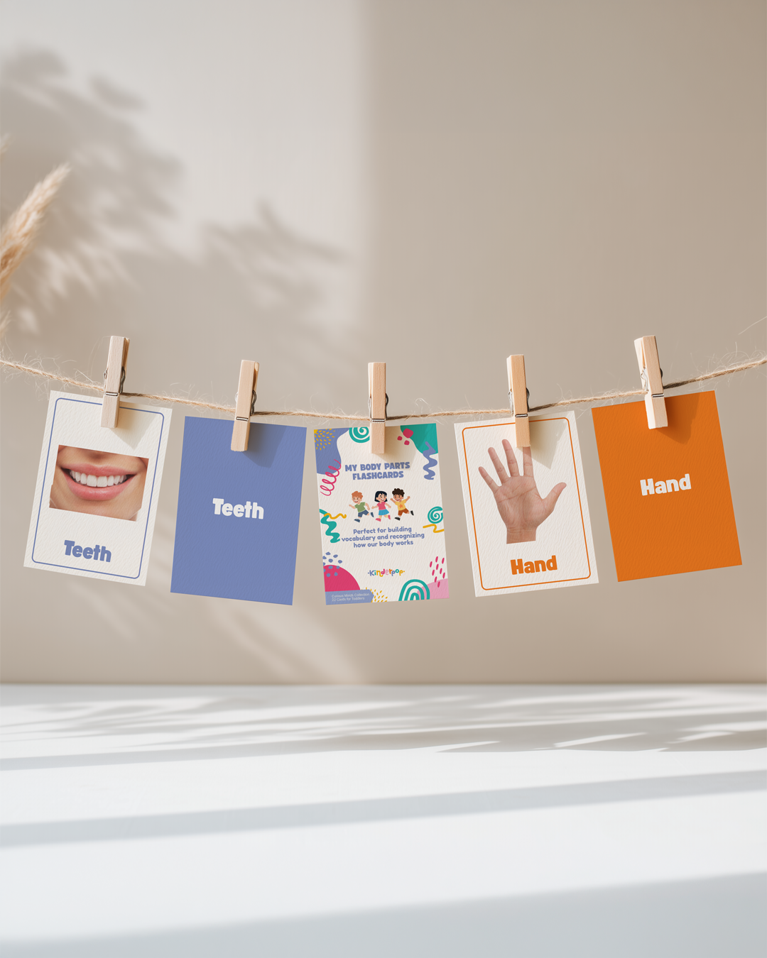 Body Parts Flashcards