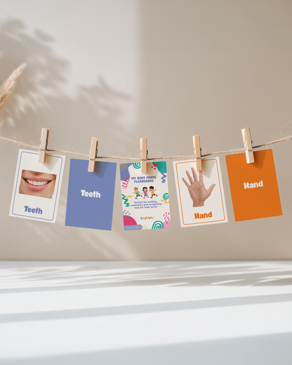 Body Parts Flashcards