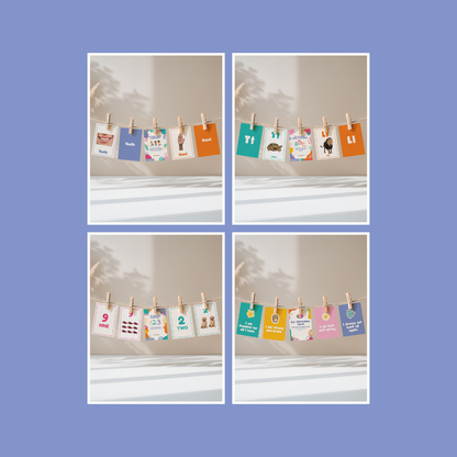 Everyday Flashcards Bundle