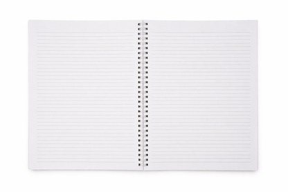 Notes from the Chaos Notebook (Soft Cover, 100 pages)