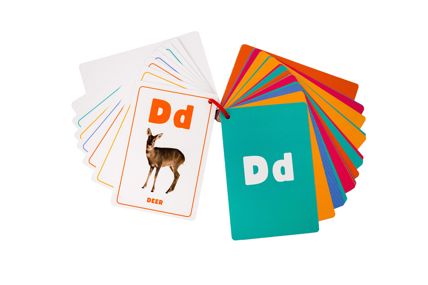 Alphabet Flashcards – Animals (A–Z)